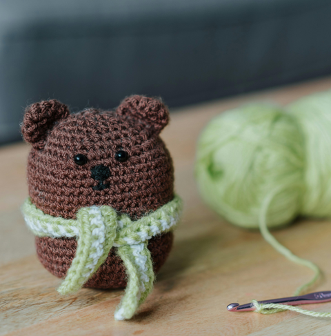 Teddy Bear Buddy